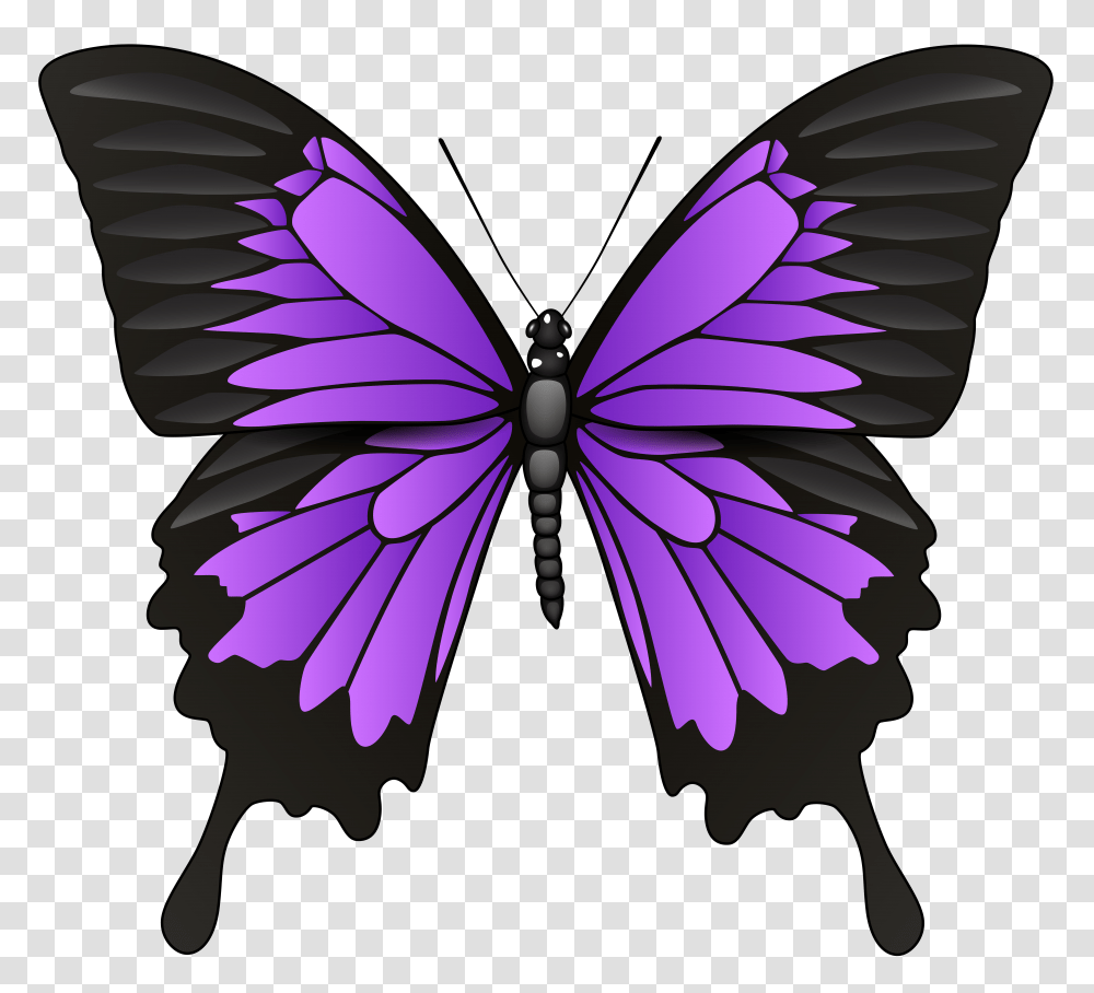 Purple Butterfly Clip Art, Pattern, Ornament, Fractal Transparent Png