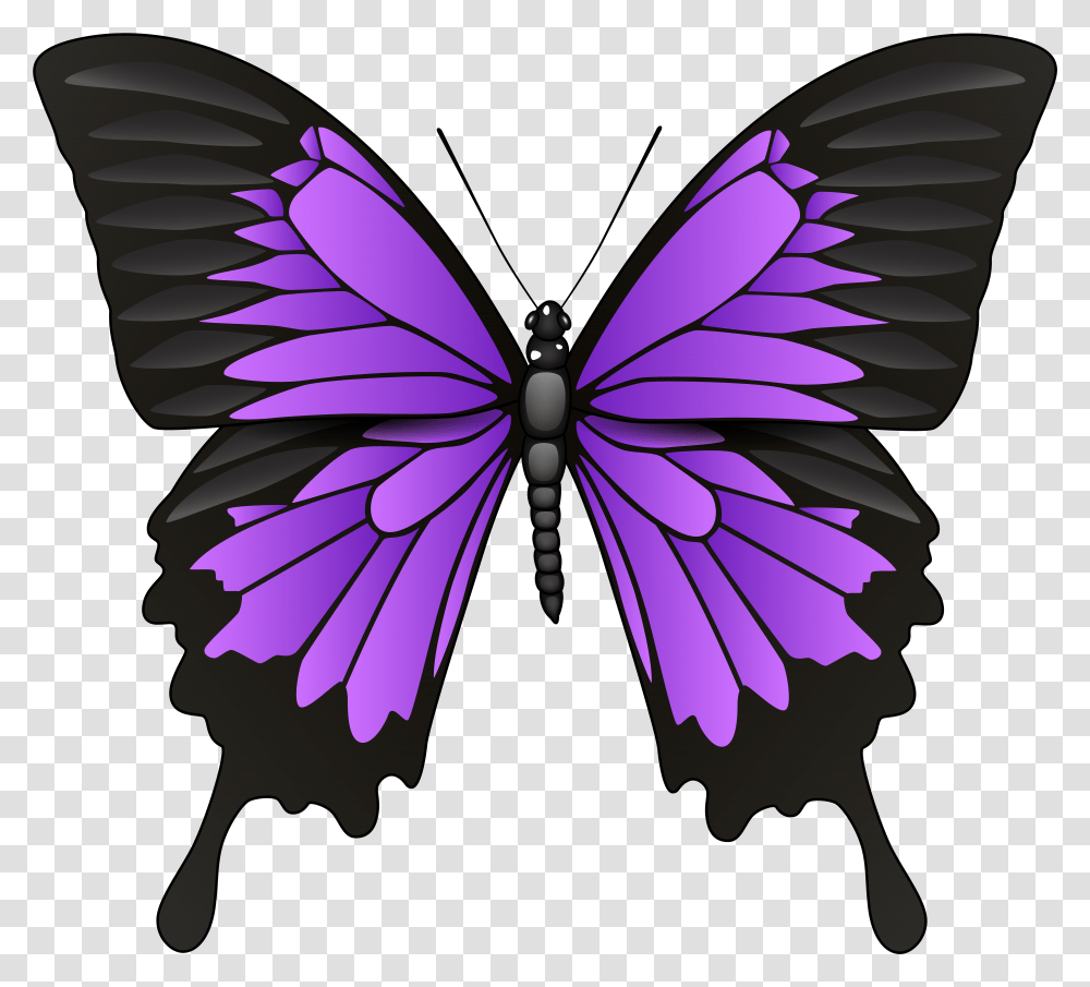Бабочка фиолетовая