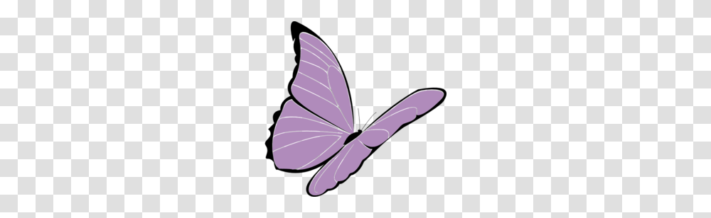 Purple Butterfly Clipart, Animal, Insect, Invertebrate, Petal Transparent Png