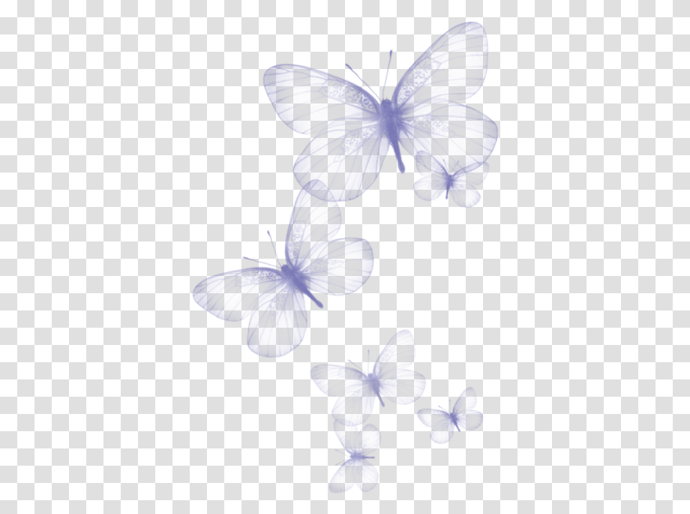 Purple Butterfly Clipart Background Butterfly Clipart, Plant, Flower, Blossom, Geranium Transparent Png