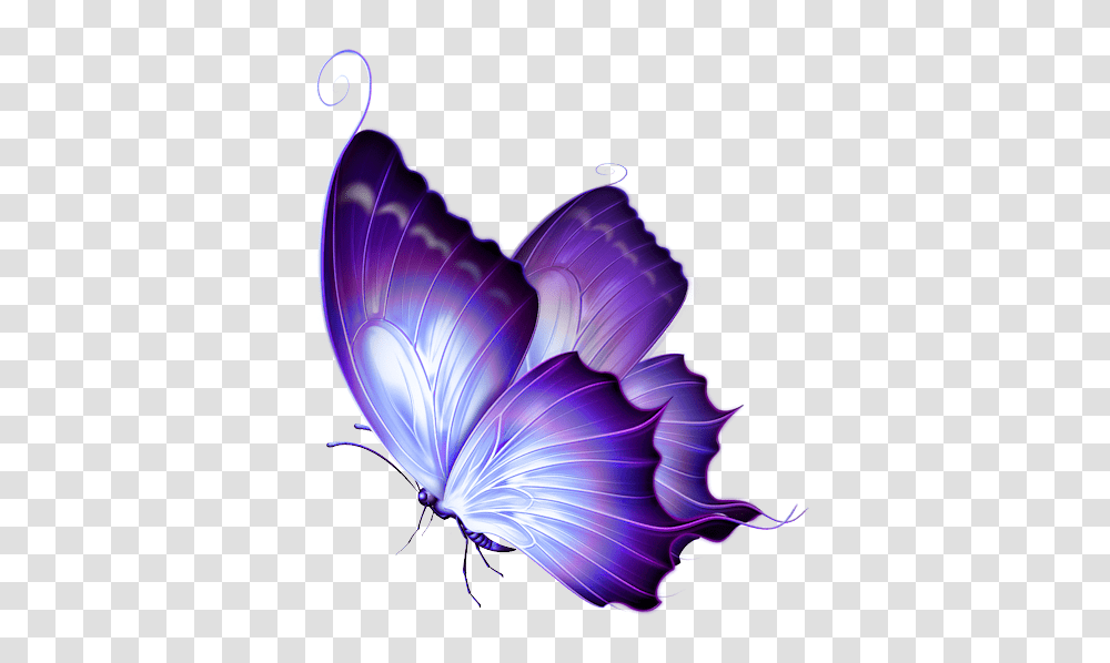 Purple Butterfly Clipart, Floral Design, Pattern, Plant Transparent Png