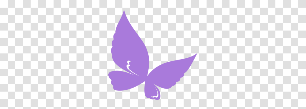 Purple Butterfly Clipart, Plant, Flower, Blossom, Petal Transparent Png