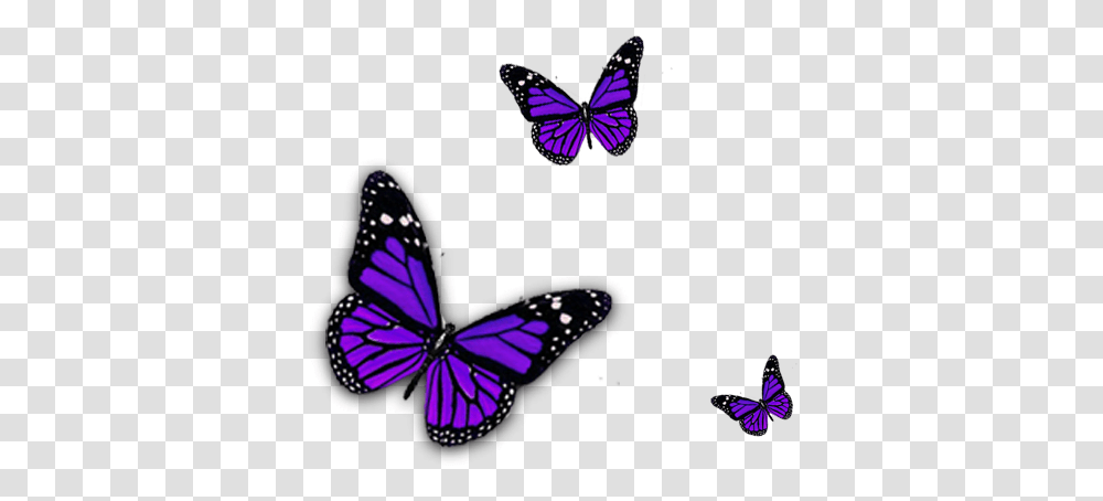 Purple Butterfly Clipart Purple Butterfly, Monarch, Insect, Invertebrate, Animal Transparent Png