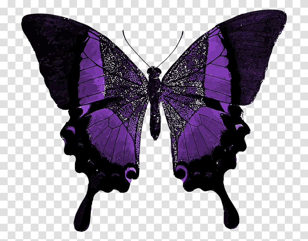 Purple Butterfly Colorful Line Of Symmetry In Real Life, Ornament, Pattern, Fractal, Light Transparent Png