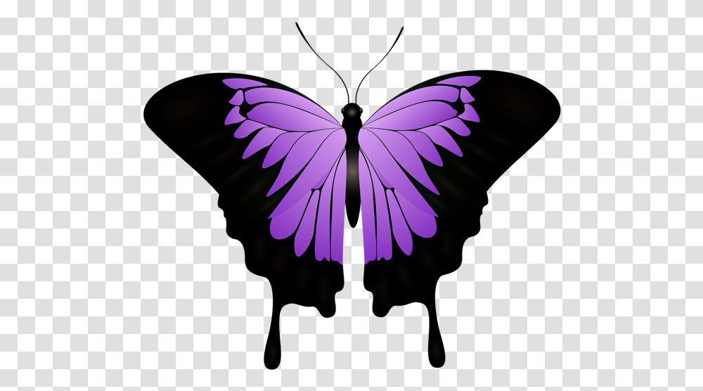 Purple Butterfly Decorative Image Purple And Black Monarch Butterfly, Pattern, Animal, Invertebrate, Insect Transparent Png