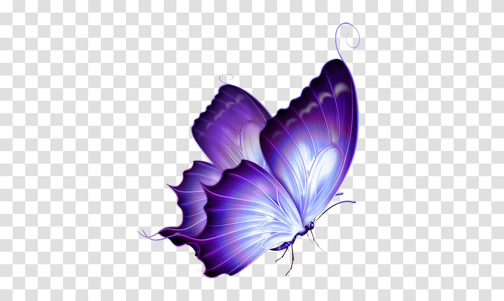 Purple Butterfly File Background Butterfly, Ornament, Pattern, Graphics, Art Transparent Png