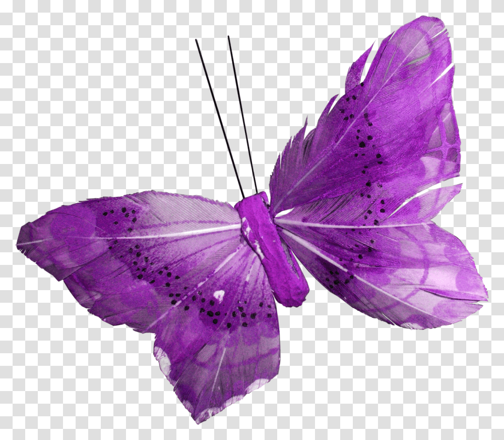 Purple Butterfly Fioletovie, Petal, Flower, Plant, Leaf Transparent Png