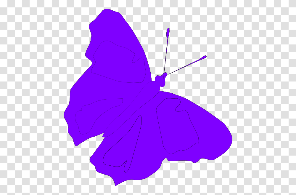 Purple Butterfly Hi, Pattern, Ornament Transparent Png