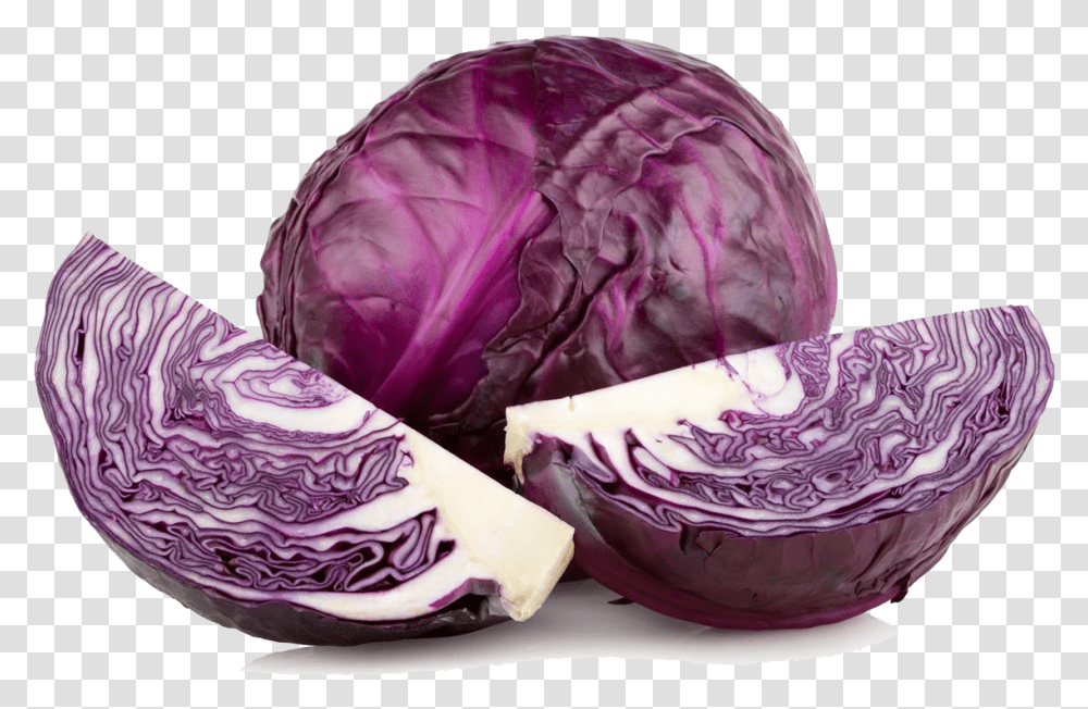 Purple Cabbage High Red Cabbage, Plant, Vegetable, Food, Head Cabbage Transparent Png