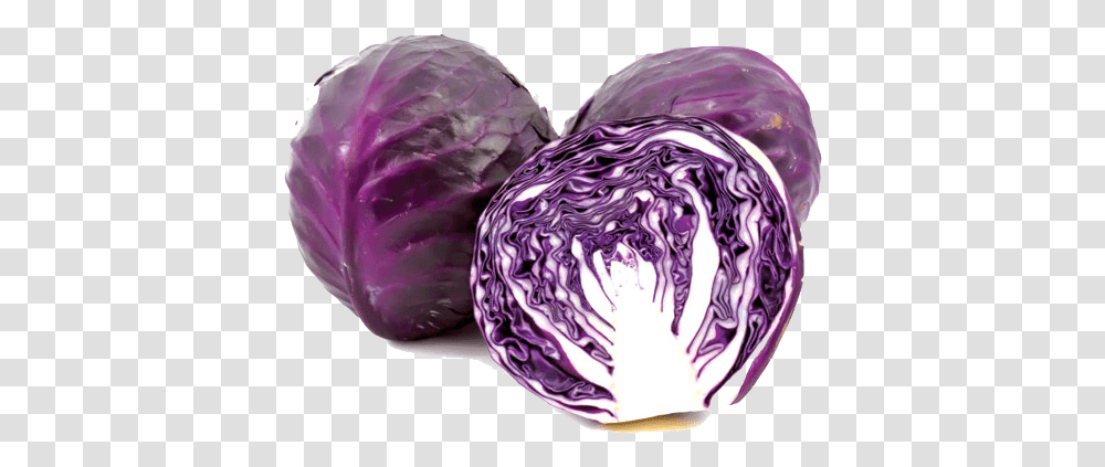 Purple Cabbage Image Purple Cabbage, Plant, Vegetable, Food, Head Cabbage Transparent Png