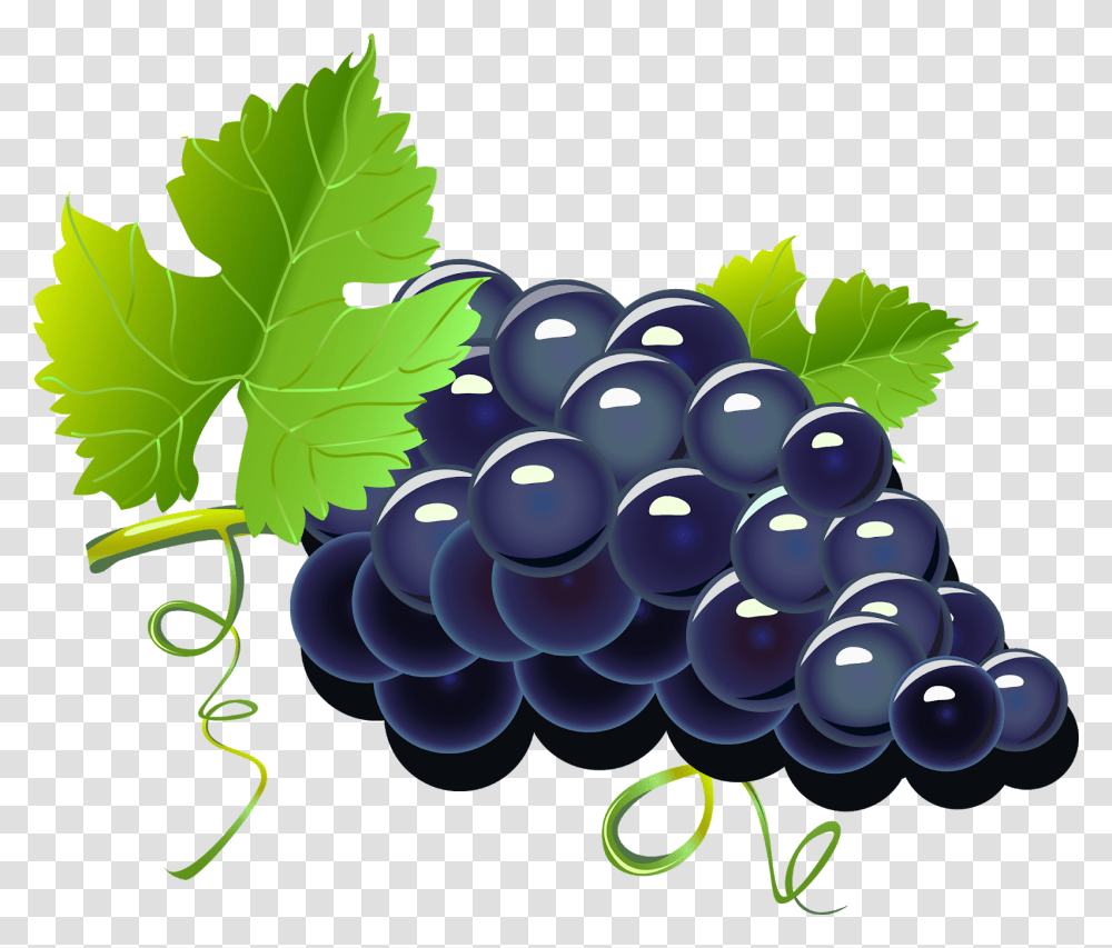 Purple Cartoon Grapes Image Grape Cartoon, Plant, Fruit, Food, Leaf Transparent Png