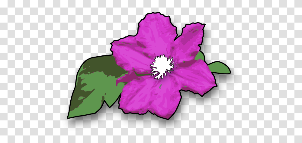 Purple Clematis Clip Art, Plant, Flower, Blossom, Hibiscus Transparent Png