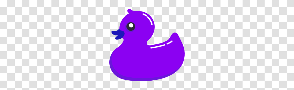 Purple Clipart Duck, Animal, Bird, Mouth Transparent Png