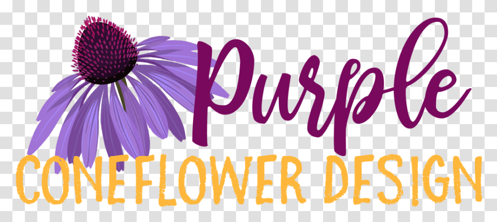 Purple Coneflower Design Calligraphy, Alphabet, Plant, Daisy Transparent Png