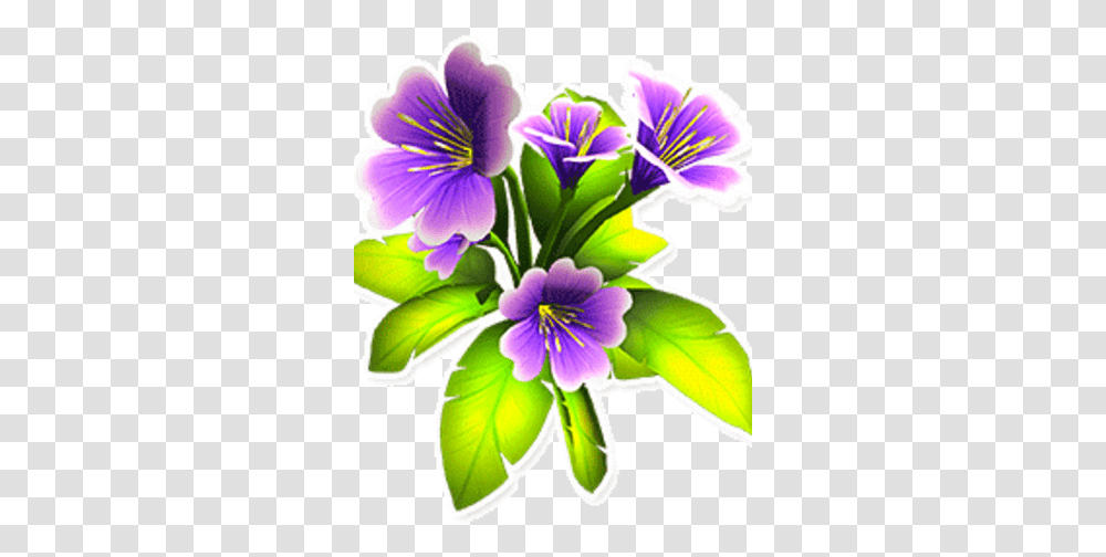 Purple Cosmos Garden Paws Wiki Fandom Portable Network Graphics, Plant, Flower, Blossom, Geranium Transparent Png