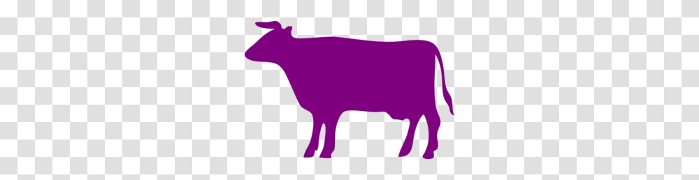 Purple Cow Clip Art, Mammal, Animal, Hog, Pig Transparent Png