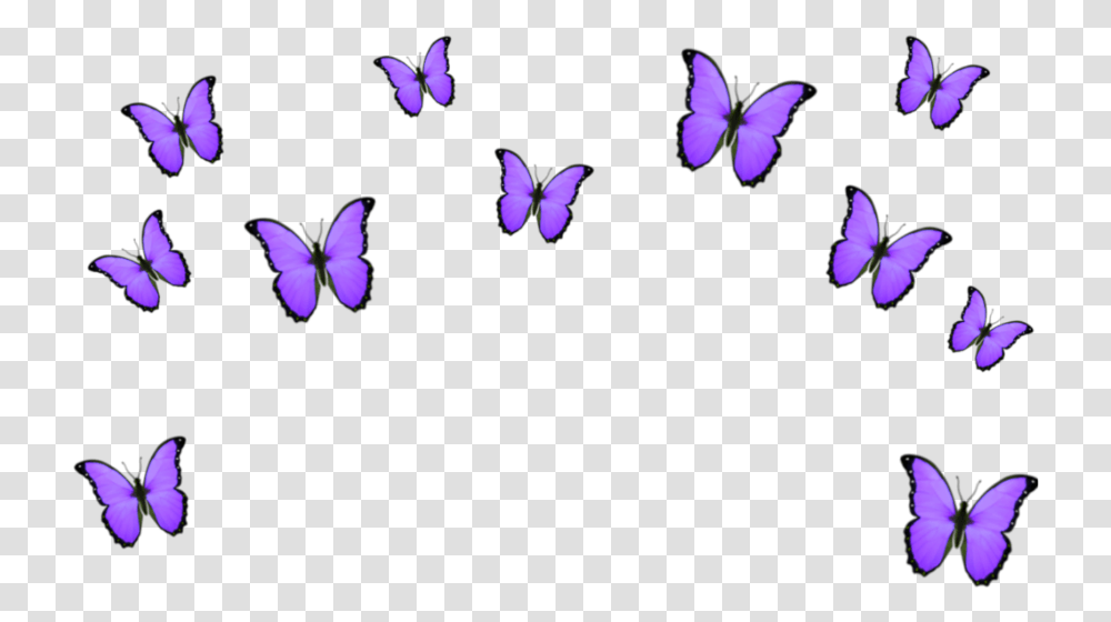 Purple Crown Blue Butterfly Emoji, Petal, Flower, Plant, Flying Transparent Png