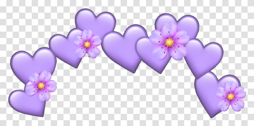 Purple Crown Red Spiral Aesthetic Crown Green Flower Crown, Plant, Anther, Petal, Geranium Transparent Png