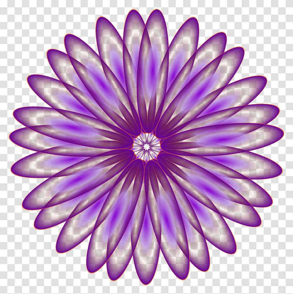Purple Daisy Clip Arts, Plant, Flower, Daisies, Blossom Transparent Png