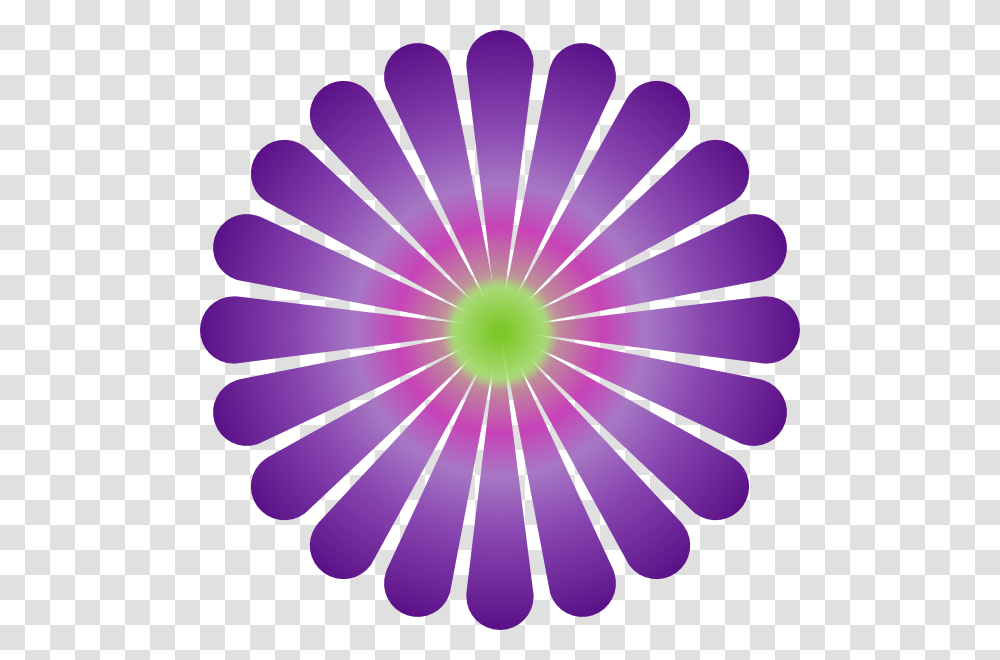 Purple Daisy Large Size, Outdoors, Nature, Light, Flare Transparent Png