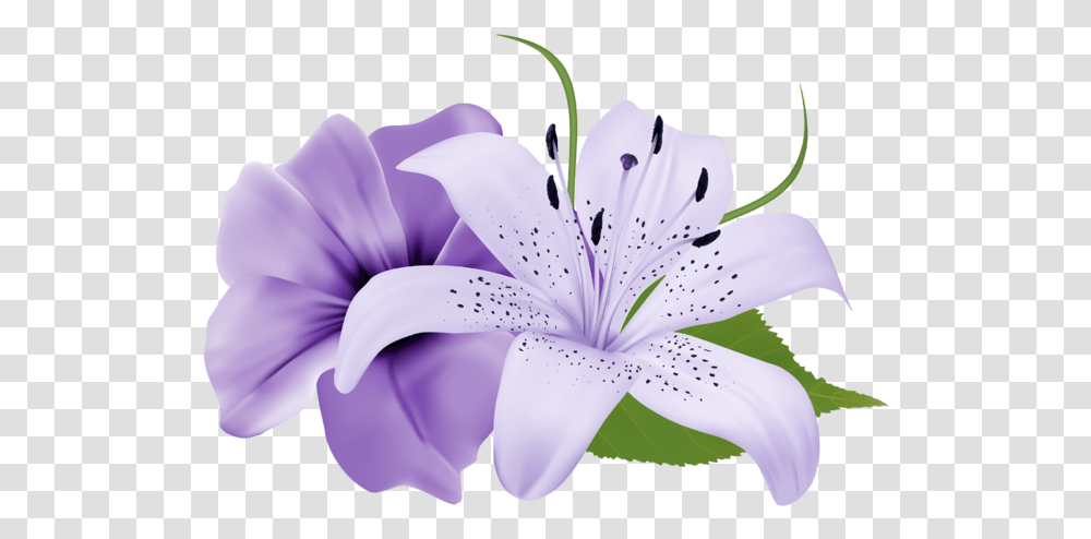 Purple Deco Flowers Clipart 179 0 Purple Lavender Flowers, Plant, Lily, Blossom, Anther Transparent Png