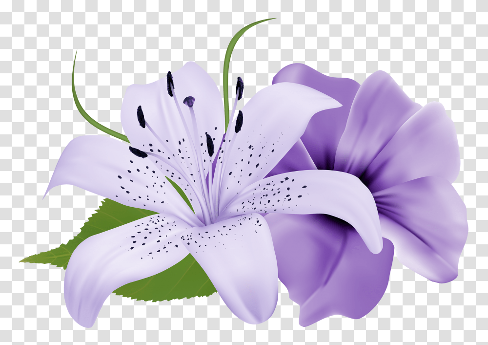 Purple Deco Flowers Clipart Flower Painting Light Purple Flower, Plant, Blossom, Anther, Lily Transparent Png