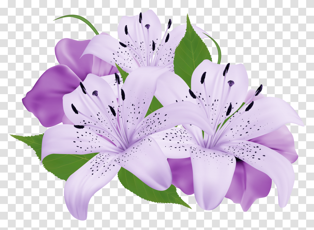 Purple Decorative Flowers Clipart Transparent Png