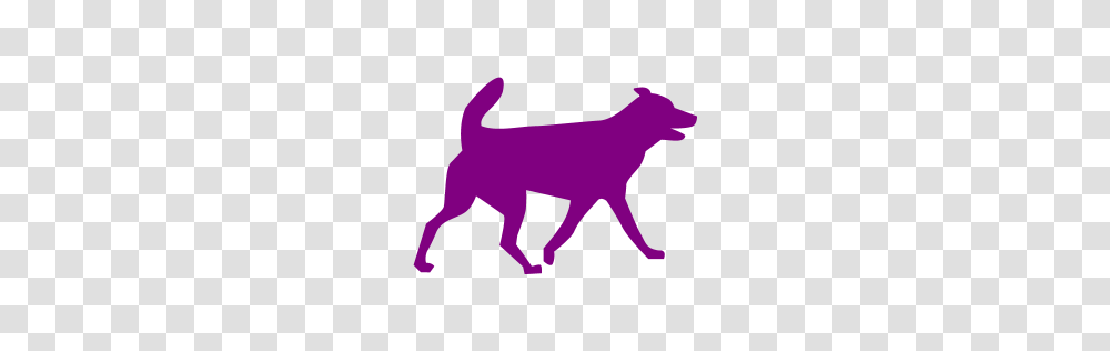 Purple Dog Icon, Maroon, Sweets, Food, Confectionery Transparent Png