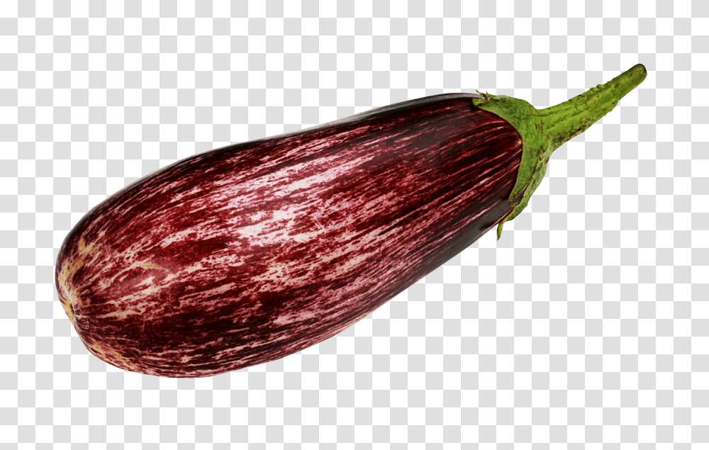 Purple Eggplant Image, Vegetable, Food, Insect, Invertebrate Transparent Png