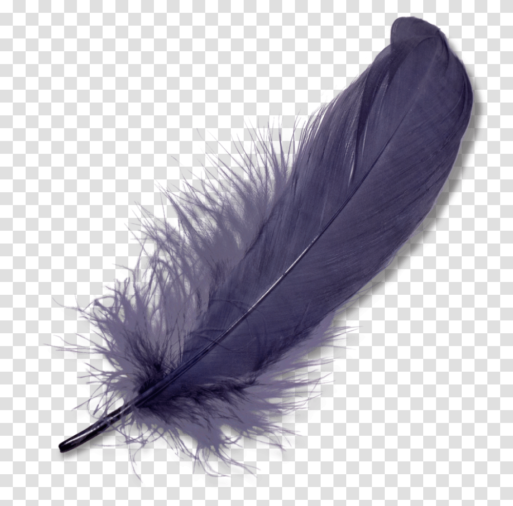 Purple Feather Feather, Bird, Animal, Bottle, Ink Bottle Transparent Png