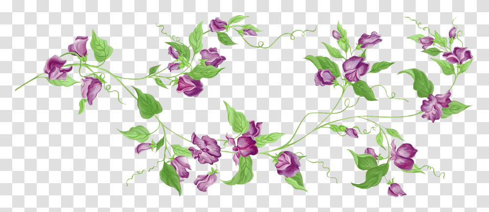 Purple Floral Decor Clipart Flower Vine Clipart, Plant, Floral Design, Pattern Transparent Png