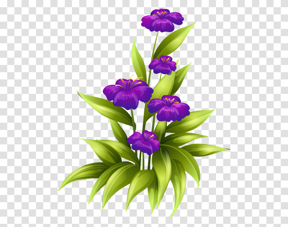 Purple Flower Border Birth Day Wishes, Iris, Plant, Blossom, Petal Transparent Png