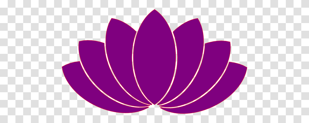 Purple Flower Clip Art, Home Decor, Petal, Plant, Ornament Transparent Png