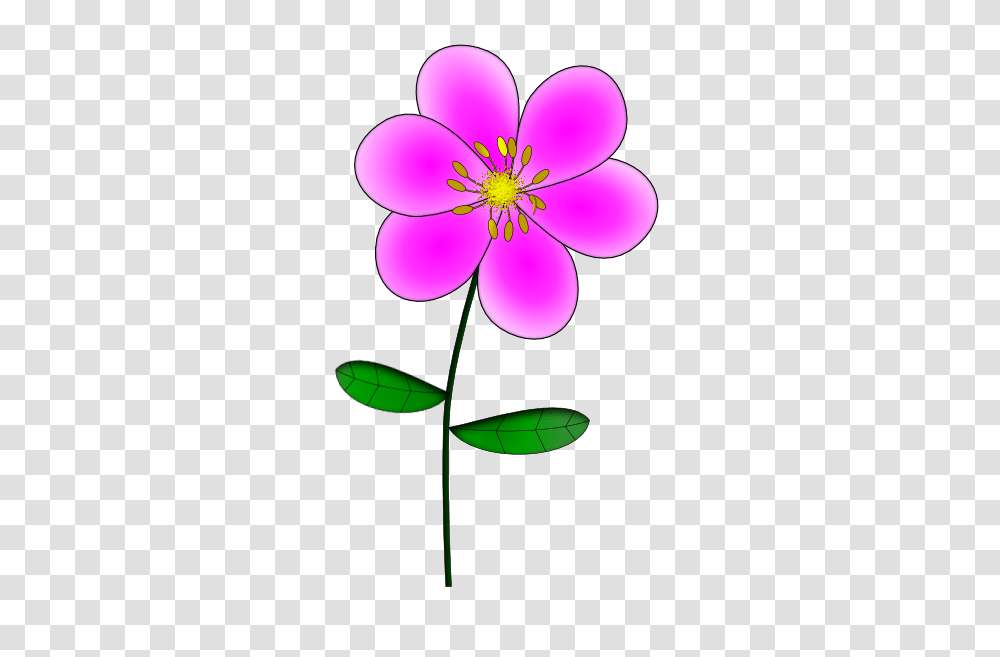Purple Flower Clip Art, Plant, Geranium, Blossom, Petal Transparent Png