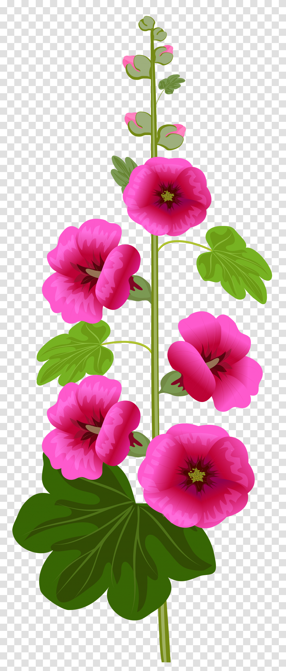 Purple Flower Clip Art Transparent Png