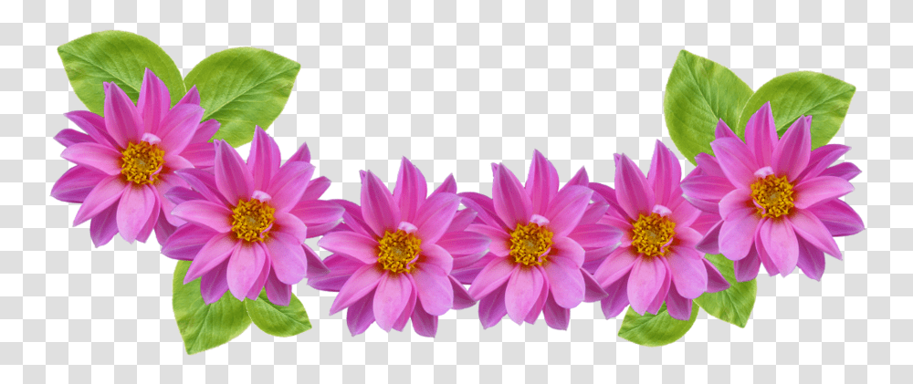 Purple Flower Clipart Animated Free Clip Art Stock Flower Crown Clipart, Dahlia, Plant, Daisy, Anemone Transparent Png