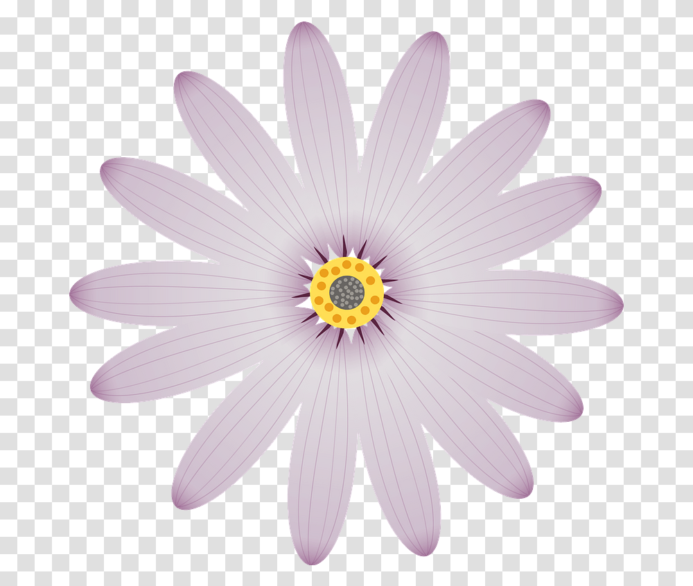 Purple Flower Clipart Clip Art, Plant, Daisy, Daisies, Blossom Transparent Png