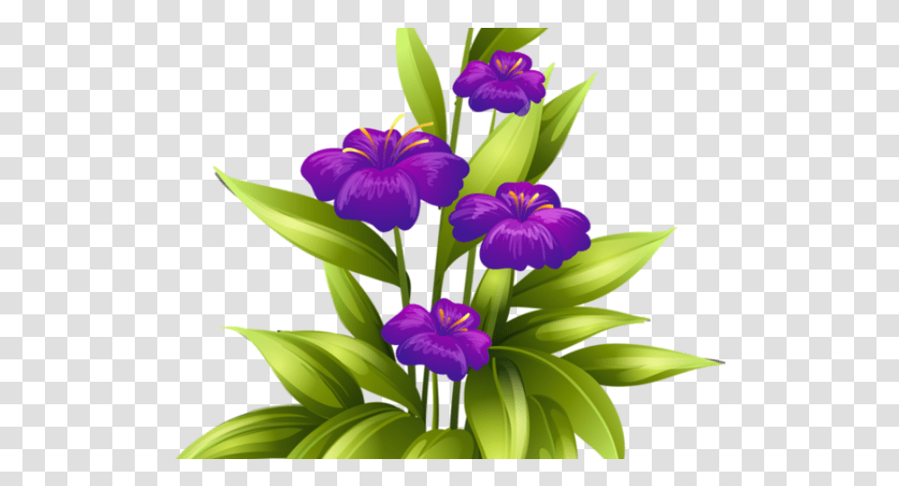 Purple Flower Clipart Flower Border For Birth Day, Plant, Iris, Blossom, Flower Arrangement Transparent Png