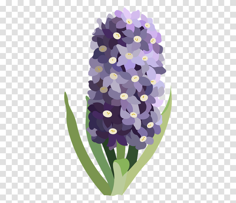 Purple Flower Clipart Grape Hyacinth, Plant, Graphics, Tree, Floral Design Transparent Png