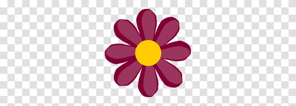 Purple Flower Clipart No Background, Daisy, Plant, Daisies, Blossom Transparent Png