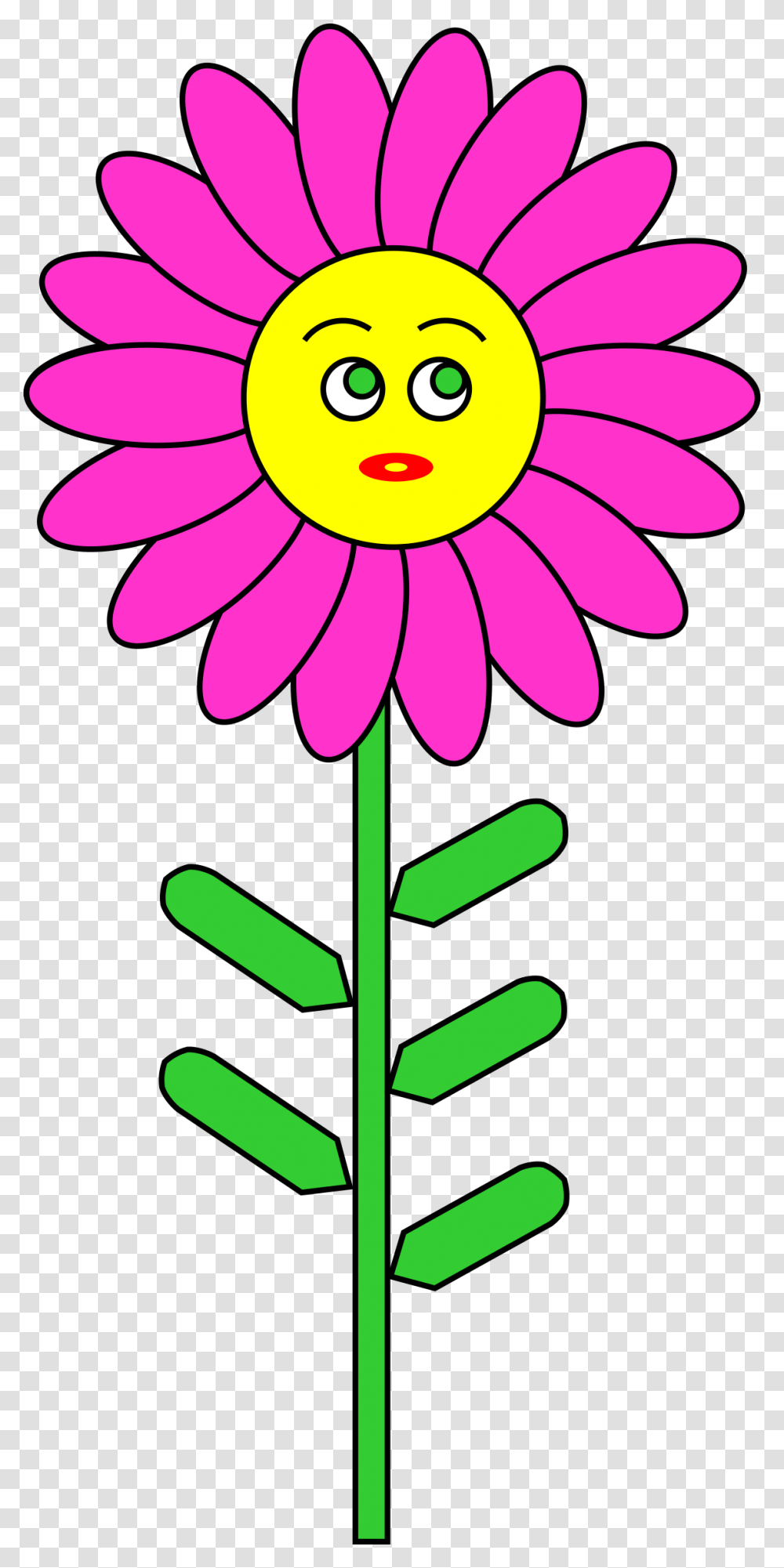 Purple Flower Clipart Stem, Plant, Daisy, Daisies, Blossom Transparent Png