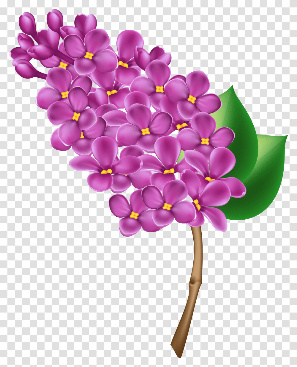 Purple Flower Clipart Top View Lilac Clipart Transparent Png