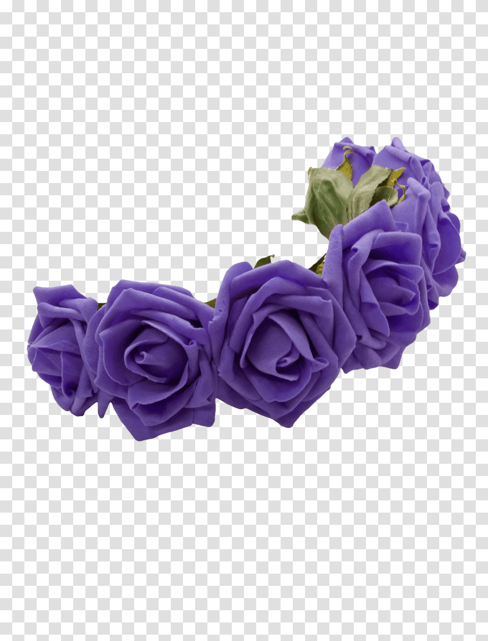 Purple Flower Crown, Plant, Blossom, Rose, Petal Transparent Png