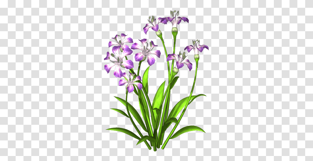 Purple Flower Download Free 6209 Free Icons And Plant With Flower, Blossom, Amaryllidaceae, Iris, Geranium Transparent Png