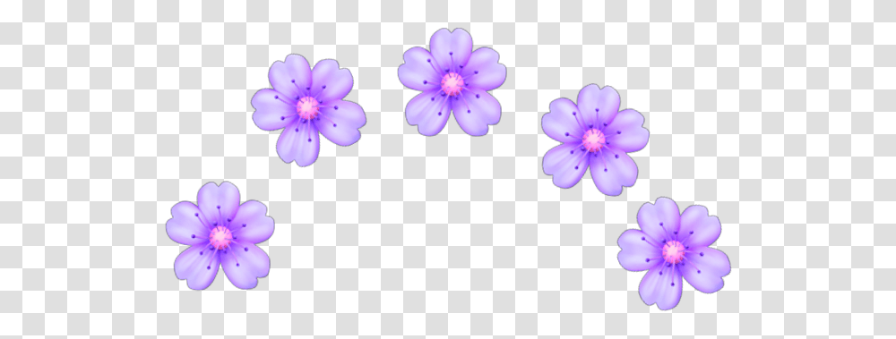 Purple Flower Emoji Floral, Plant, Petal, Blossom, Anther Transparent Png
