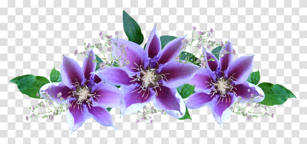 Purple Flower Gif, Plant, Anther, Petal, Pollen Transparent Png