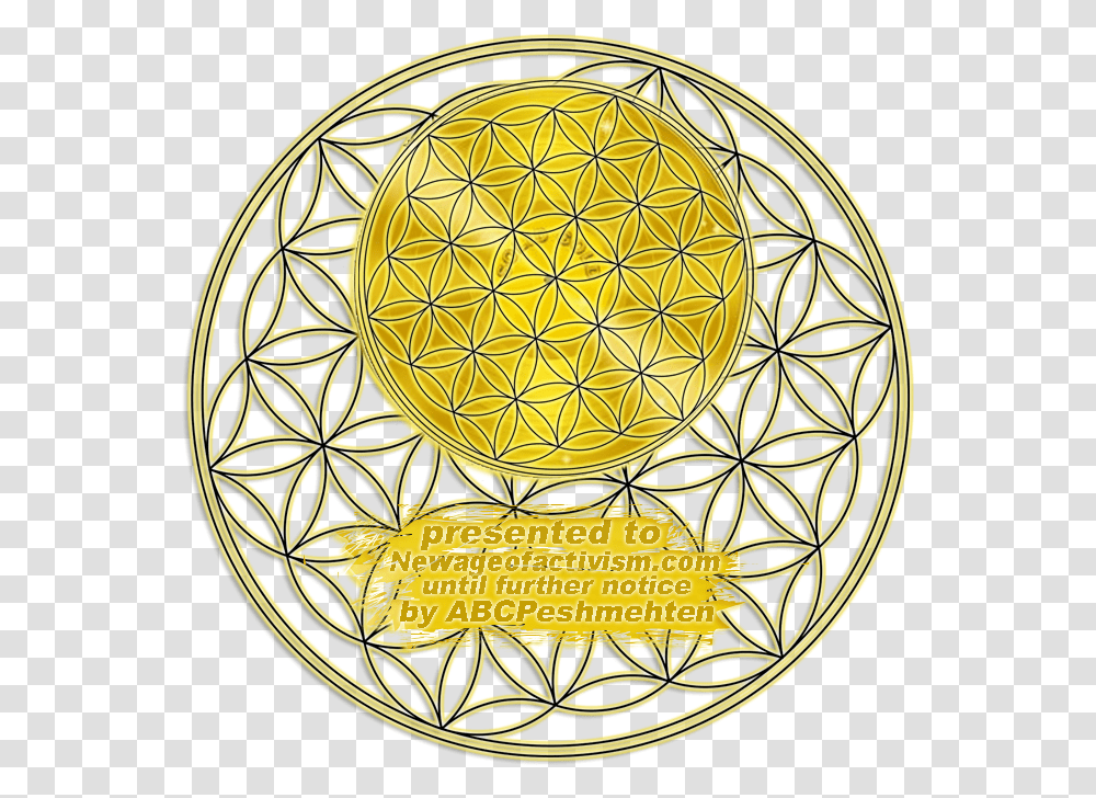 Purple Flower Of Life, Sphere, Doodle, Drawing Transparent Png