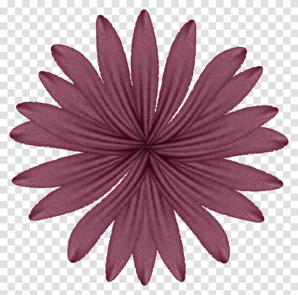 Purple Flower Photo Purpleflower Background Simple Flower Clipart, Plant, Daisy, Daisies, Blossom Transparent Png