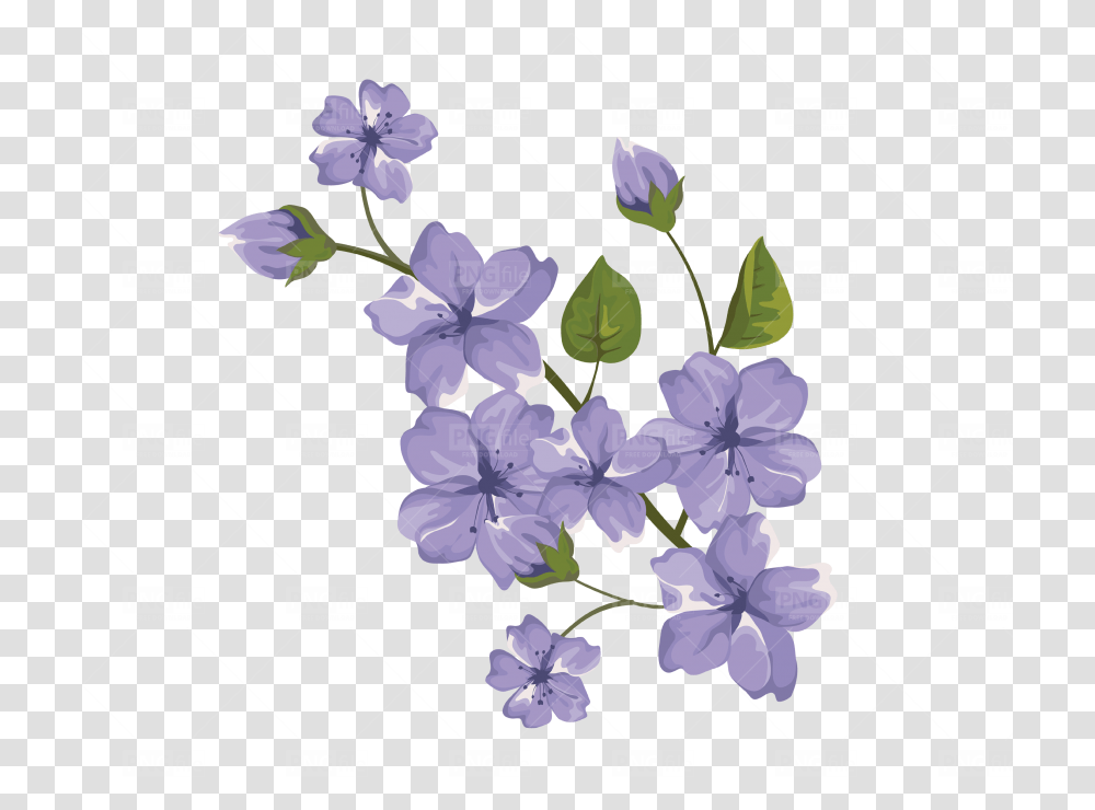Purple Flower, Plant, Blossom, Petal, Geranium Transparent Png