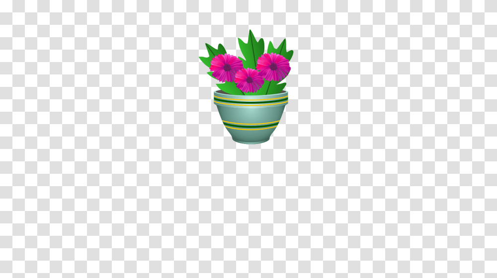 Purple Flower Pot, Plant, Daisy, Vase Transparent Png